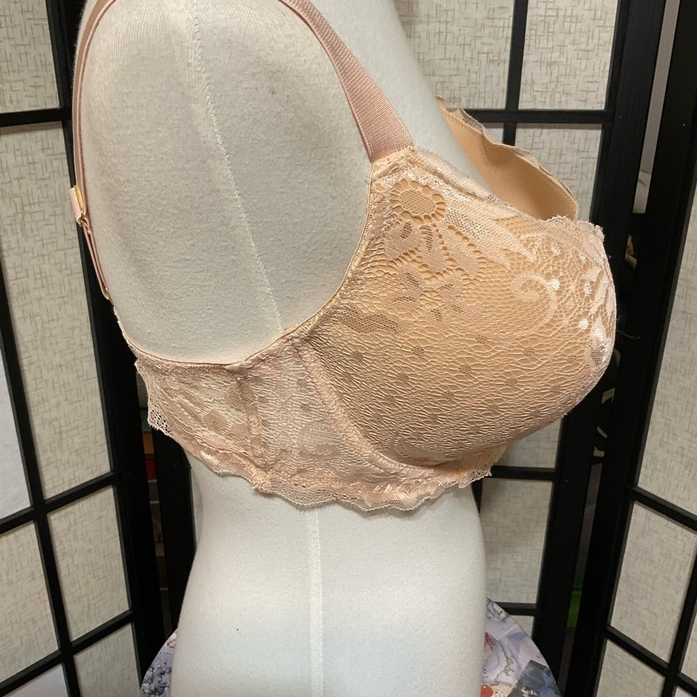 SPREE Intimates Lace Bra - Picture 3 of 6